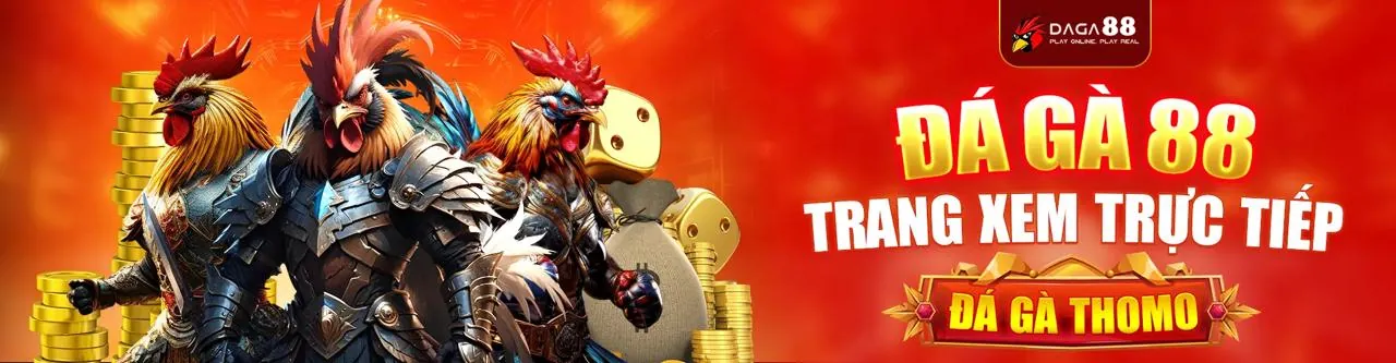 Trận đấu đá gà trực tuyến kịch tính tại 123 B