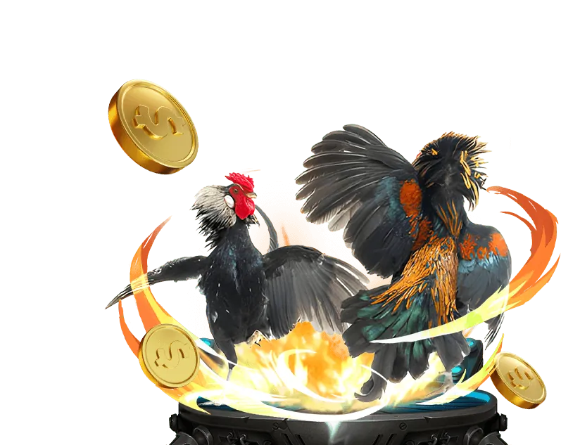 Đá gà trực tuyến Hi88 với các trận đấu hấp dẫn từ trường gà lớn