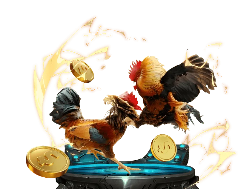 Đá gà trực tuyến tại TOT88 với các trận đấu gay cấn từ trường gà hàng đầu